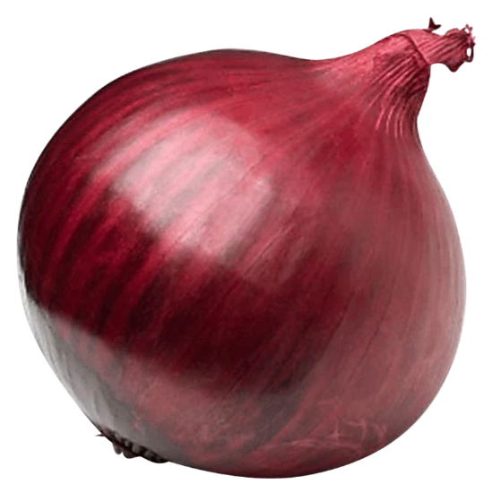 Picture of Red Onion - 1ct