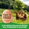 Picture of Organic Valley Large Free Range Brown Organic Eggs - 12ct