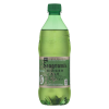 Picture of Seagram's Ginger Ale Soda 20oz Btl