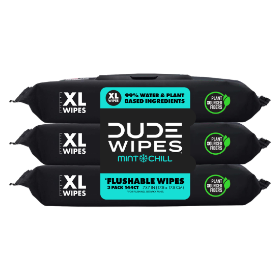 Picture of DUDE Wipes XL Flushable Wipes Dispenser Mint Chill with Mint, Eucalyptus, and Tea Tree Essential Oil 48ct 3 pack